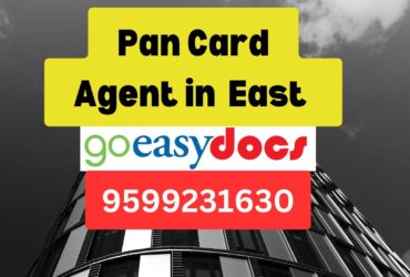 Pan Card Agent Consultant in East 8851415812