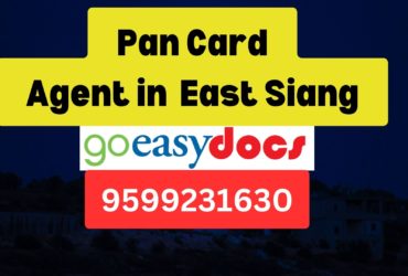 Pan Card Agent Consultant in East Siang  8851415812