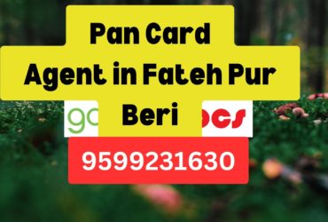 Pan Card Agent Consultant in Fateh Pur Beri 8851415812