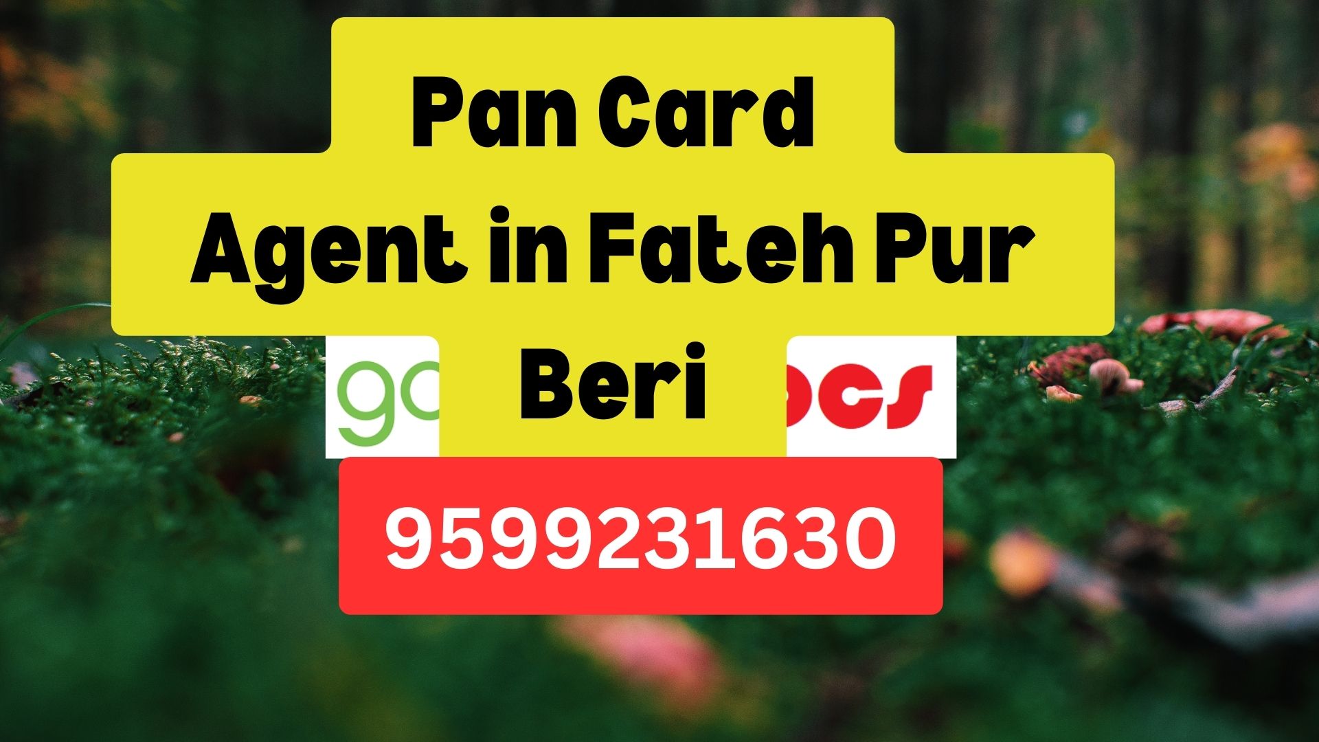 Pan Card Agent Consultant in Fateh Pur Beri 8851415812