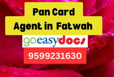 Pan Card Agent Consultant in Fatwah  8851415812