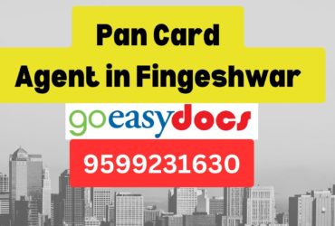 Pan Card Agent Consultant in Fingeshwar 8851415812