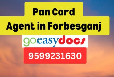 Pan Card Agent Consultant in Forbesganj  8851415812