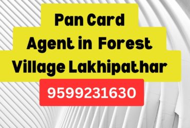 Pan Card Agent Consultant in Forest Village Lakhipathar  8851415812