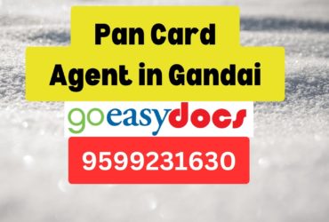 Pan Card Agent Consultant in Gandai 8851415812