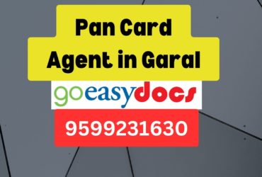 Pan Card Agent Consultant in Garal  8851415812