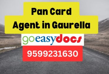 Pan Card Agent Consultant in Gaurella 8851415812