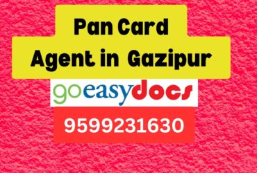 Pan Card Agent Consultant in Gazipur  8851415812