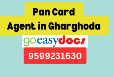 Pan Card Agent Consultant in Gharghoda 8851415812