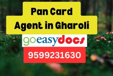 Pan Card Agent Consultant in Gharoli 8851415812