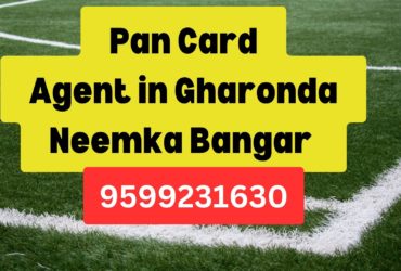 Pan Card Agent Consultant in Gharonda Neemka Bangar  8851415812