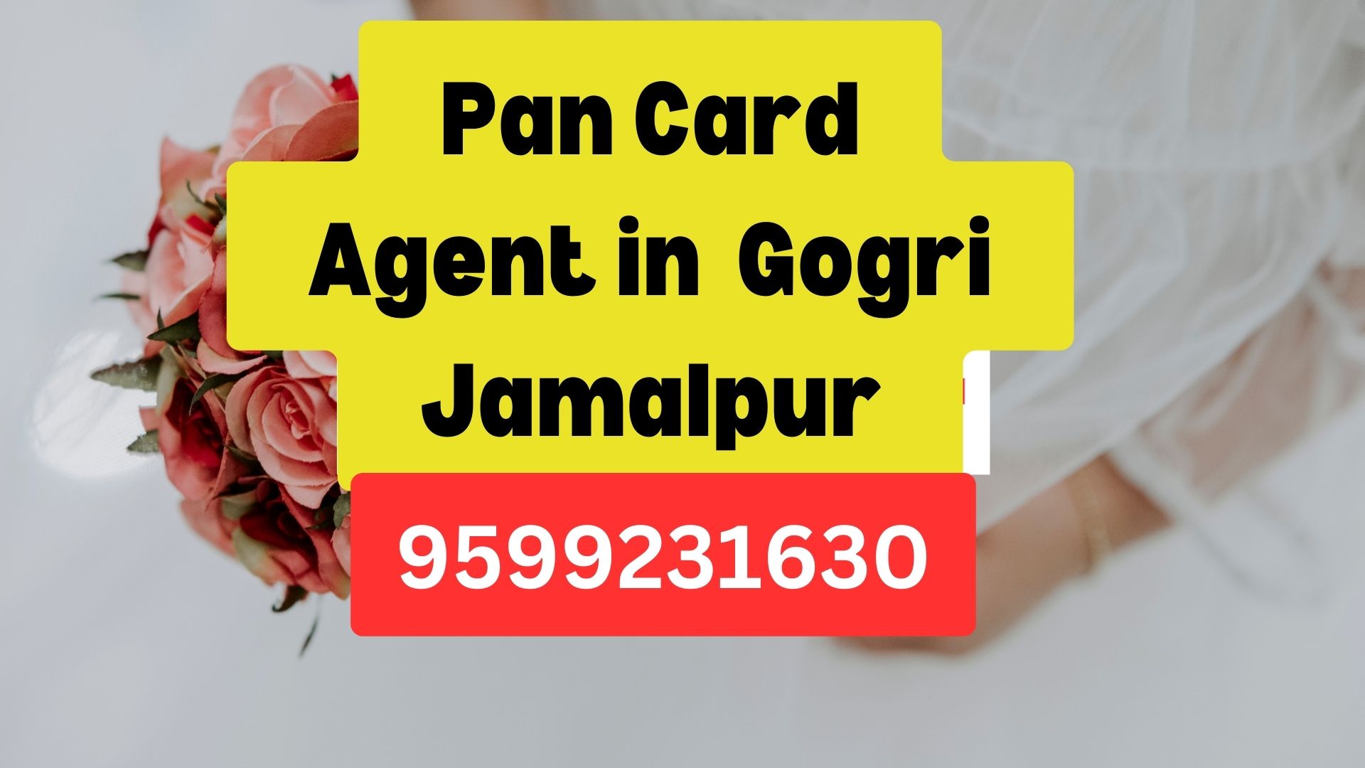 Pan Card Agent Consultant in Gogri Jamalpur  8851415812