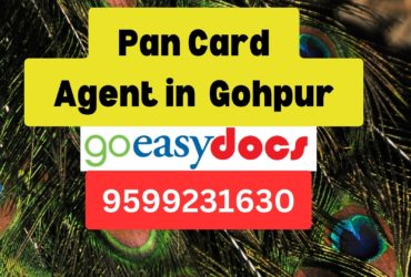 Pan Card Agent Consultant in Gohpur  8851415812