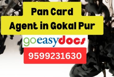 Pan Card Agent Consultant in Gokal Pur 8851415812