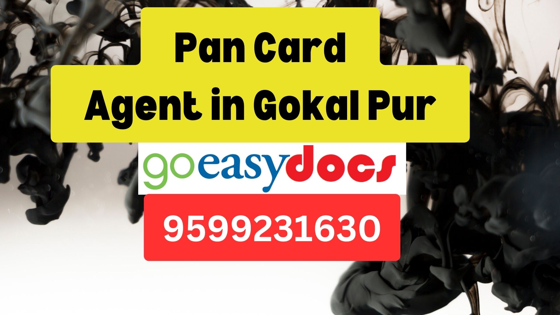 Pan Card Agent Consultant in Gokal Pur 8851415812