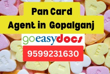 Pan Card Agent Consultant in Gopalganj   8851415812