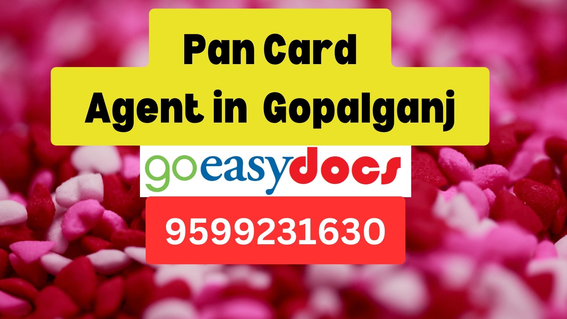 Pan Card Agent Consultant in Gopalganj  8851415812