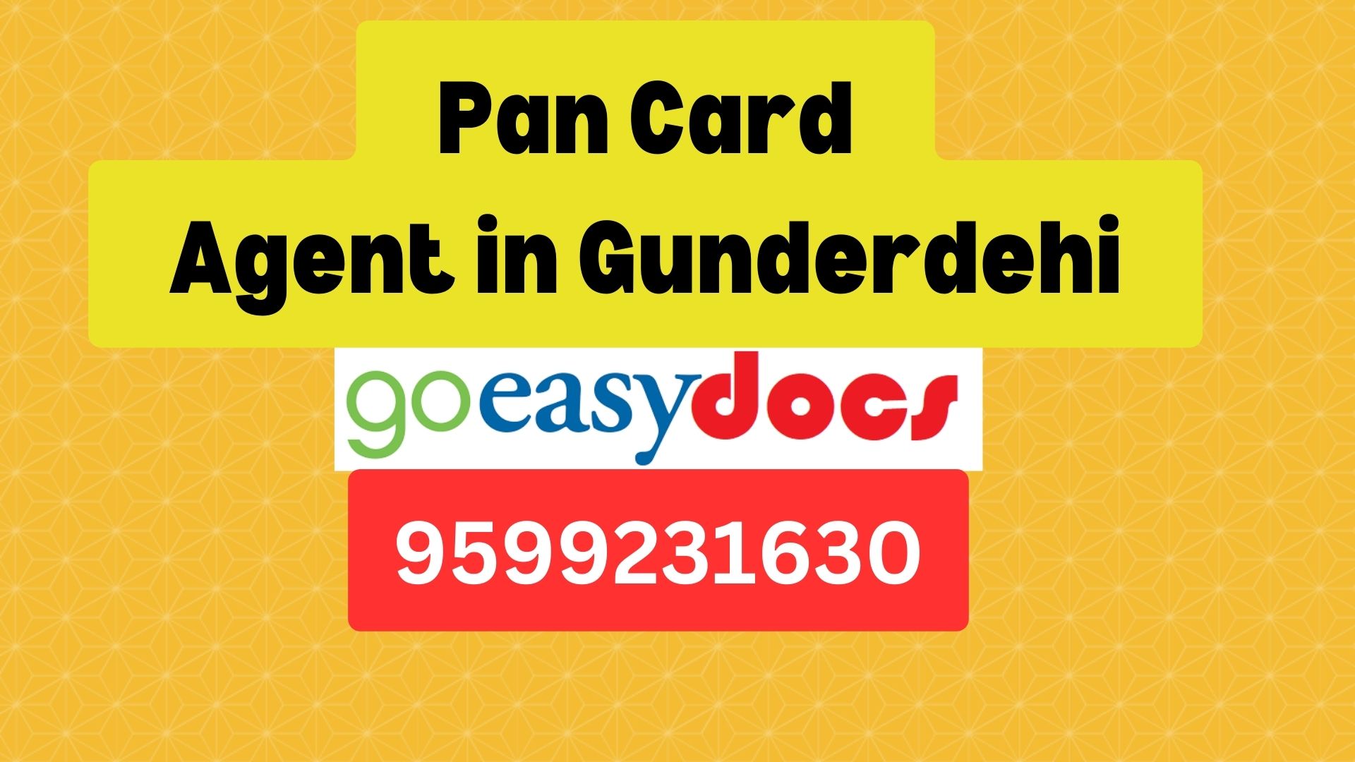 Pan Card Agent Consultant in Gunderdehi 8851415812