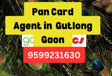 Pan Card Agent Consultant in Gutlong Gaon  8851415812