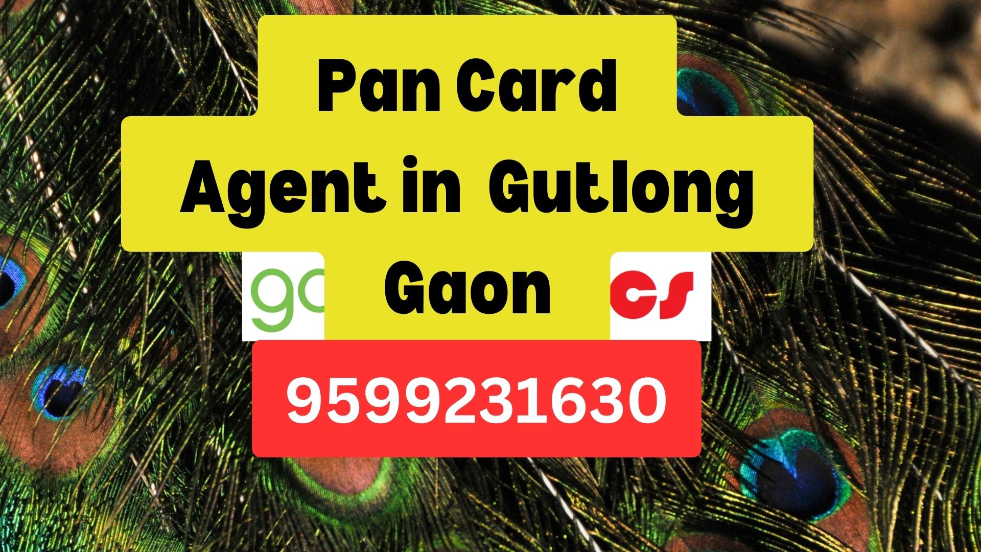 Pan Card Agent Consultant in Gutlong Gaon  8851415812