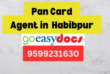 Pan Card Agent Consultant in Habibpur  8851415812