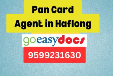 Pan Card Agent Consultant in Haflong  8851415812