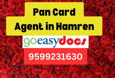 Pan Card Agent Consultant in Hamren  8851415812