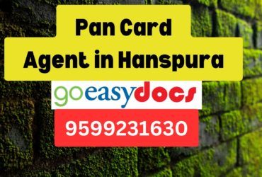 Pan Card Agent Consultant in Hanspura  8851415812