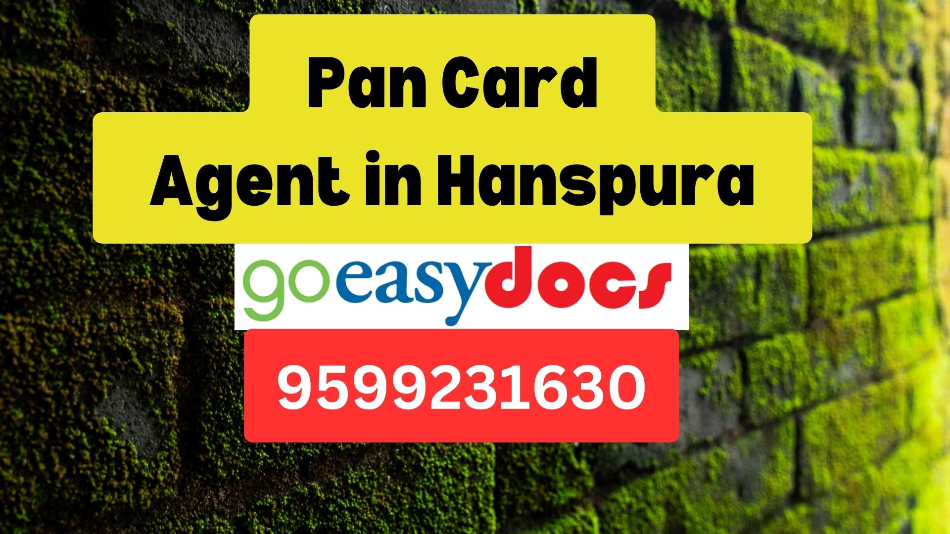 Pan Card Agent Consultant in Hanspura  8851415812