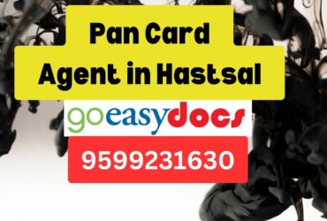 Pan Card Agent Consultant in Hastsal 8851415812