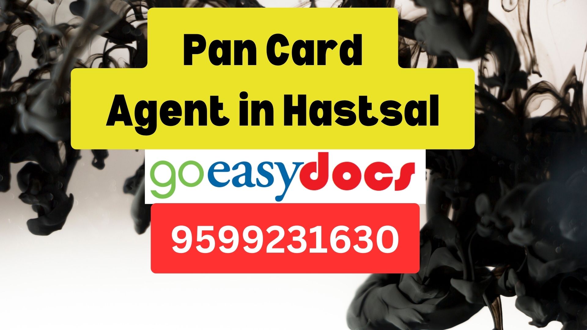 Pan Card Agent Consultant in Hastsal 8851415812