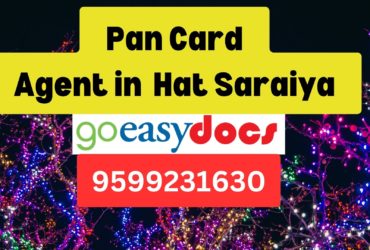 Pan Card Agent Consultant in Hat Saraiya  8851415812