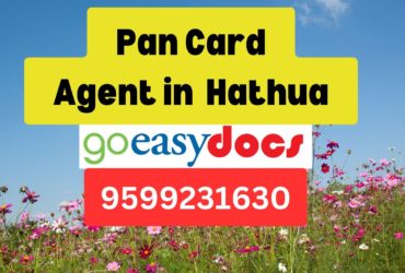 Pan Card Agent Consultant in Hathua  8851415812