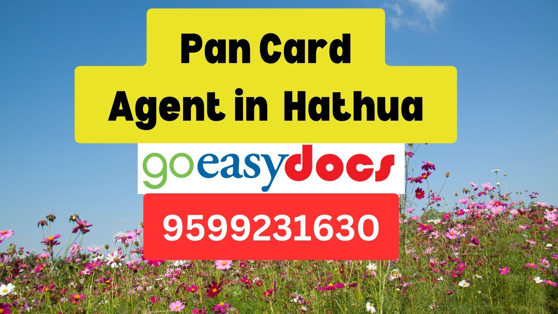 Pan Card Agent Consultant in Hathua  8851415812