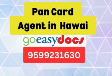 Pan Card Agent Consultant in Hawai  8851415812