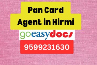 Pan Card Agent Consultant in Hirmi 8851415812