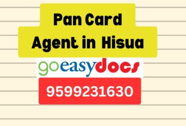 Pan Card Agent Consultant in Hisua  8851415812