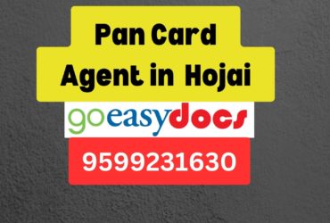 Pan Card Agent Consultant in Hojai  8851415812