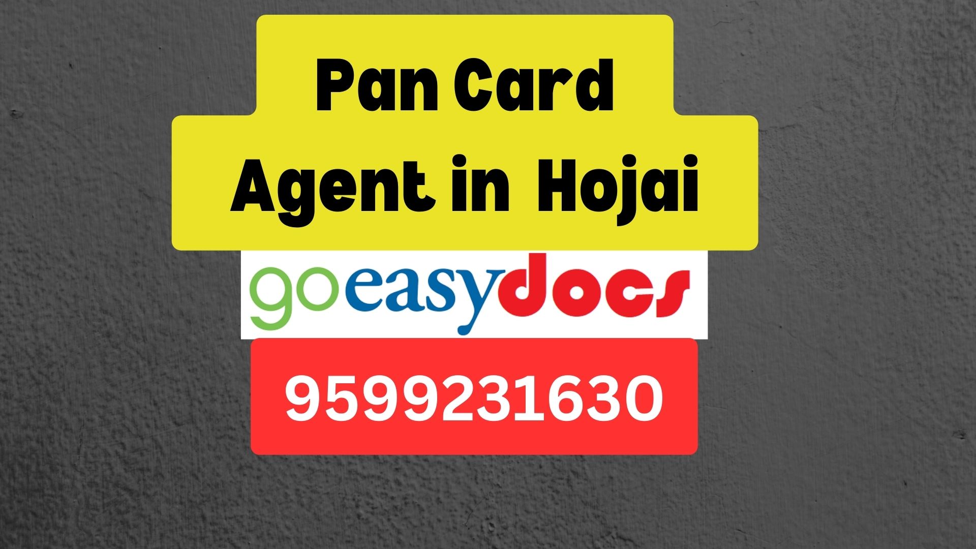 Pan Card Agent Consultant in Hojai  8851415812