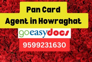 Pan Card Agent Consultant in Howraghat  8851415812