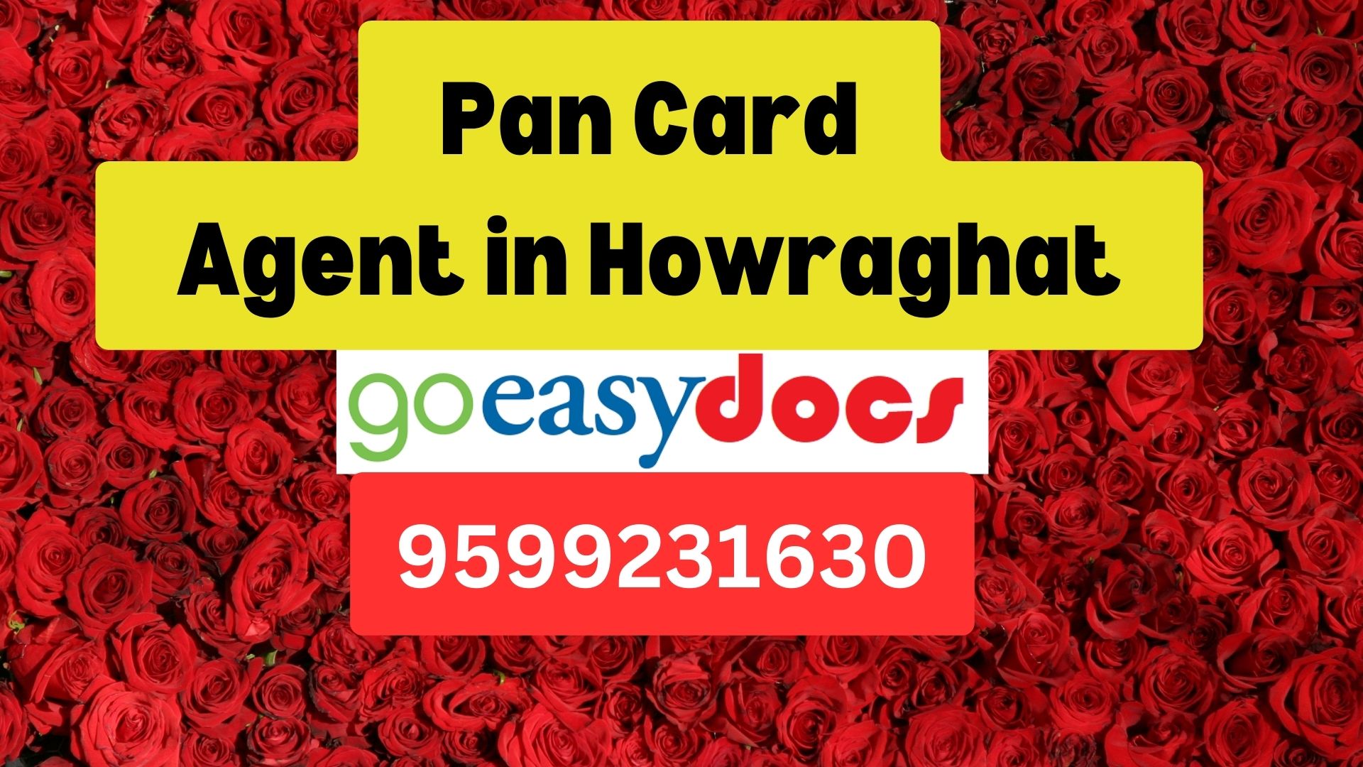 Pan Card Agent Consultant in Howraghat  8851415812