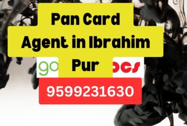 Pan Card Agent Consultant in Ibrahim Pur 8851415812