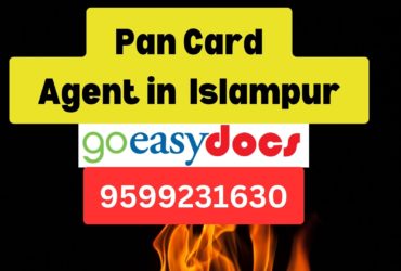 Pan Card Agent Consultant in Islampur  8851415812