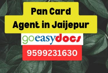 Pan Card Agent Consultant in Jaijepur 8851415812