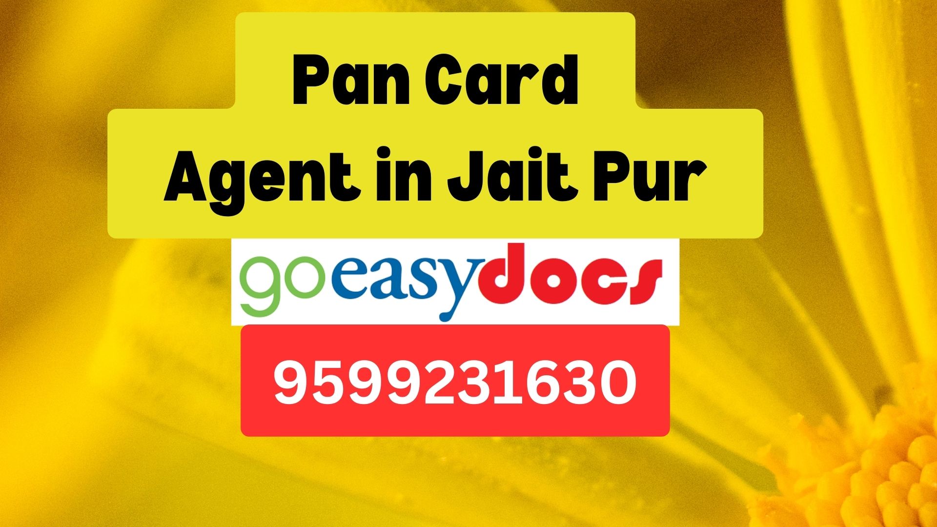 Pan Card Agent Consultant in Jait Pur 8851415812