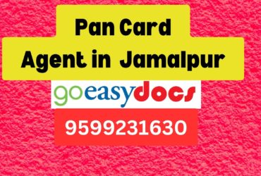 Pan Card Agent Consultant in Jamalpur  8851415812