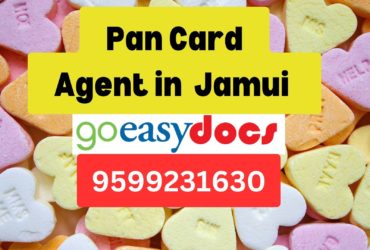 Pan Card Agent Consultant in Jamui   8851415812