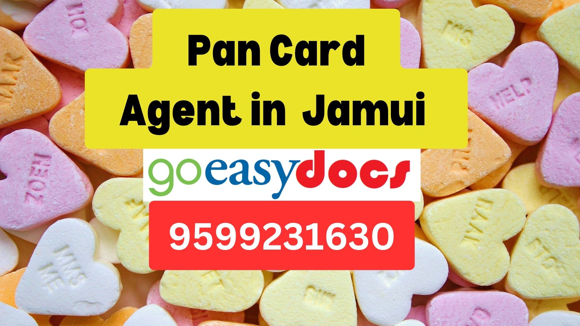 Pan Card Agent Consultant in Jamui   8851415812