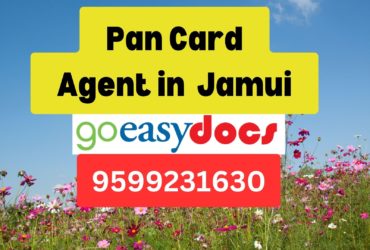 Pan Card Agent Consultant in Jamui  8851415812