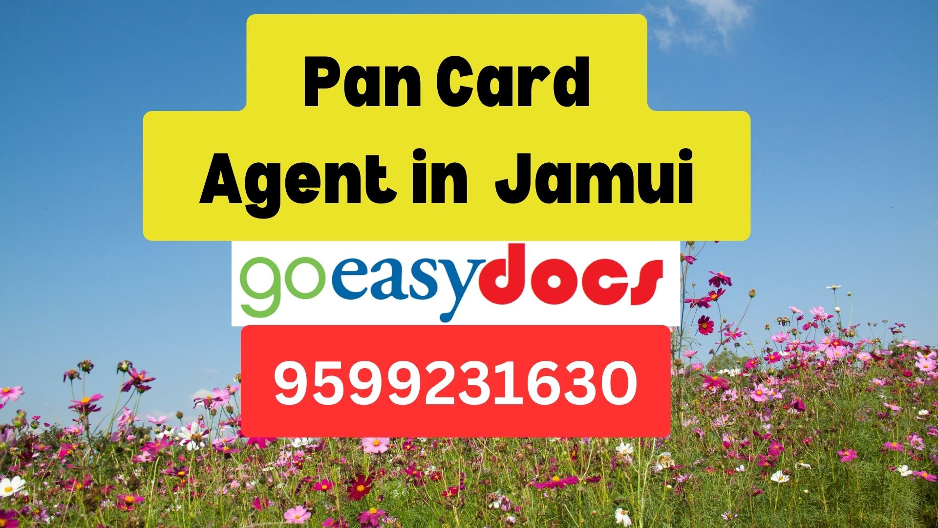 Pan Card Agent Consultant in Jamui  8851415812